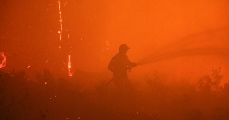 Aydın Bozdoğan alevlere teslim! Alevler Muğla’ya dayandı