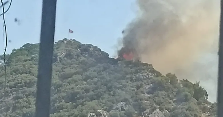 Aydın Germencik’teki orman yangını kontrol altında