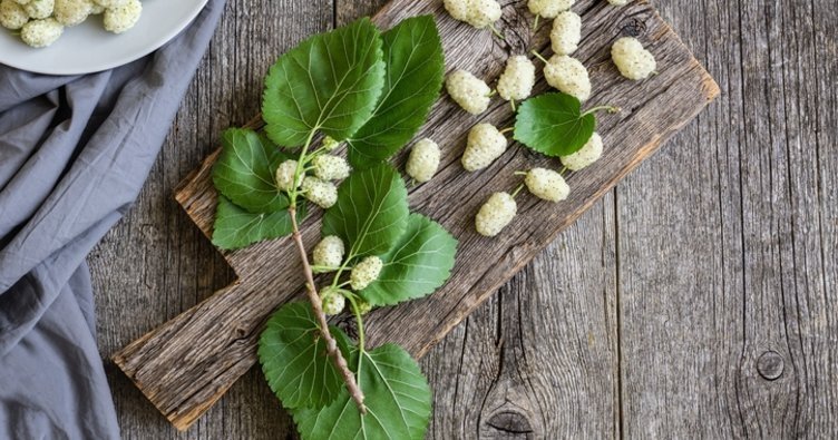 Dut yaprağının faydaları nelerdir?