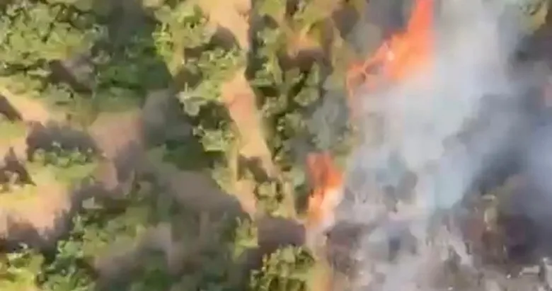Balıkesir’de korkutan yangın! Ekipler canla başla müdahale etti