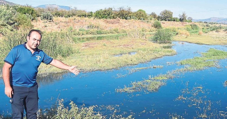 Gediz’deki kirlilik ve kokuya büyük tepki