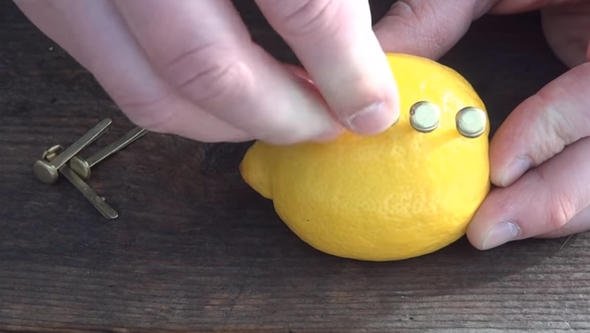 Rus mühendis limon ile inanılmazı başardı! Youtube videosu milyonlar izlendi