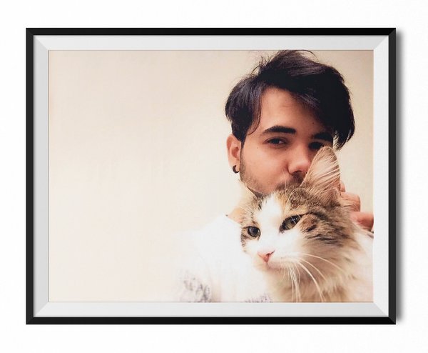 Kuşlar neden öter?