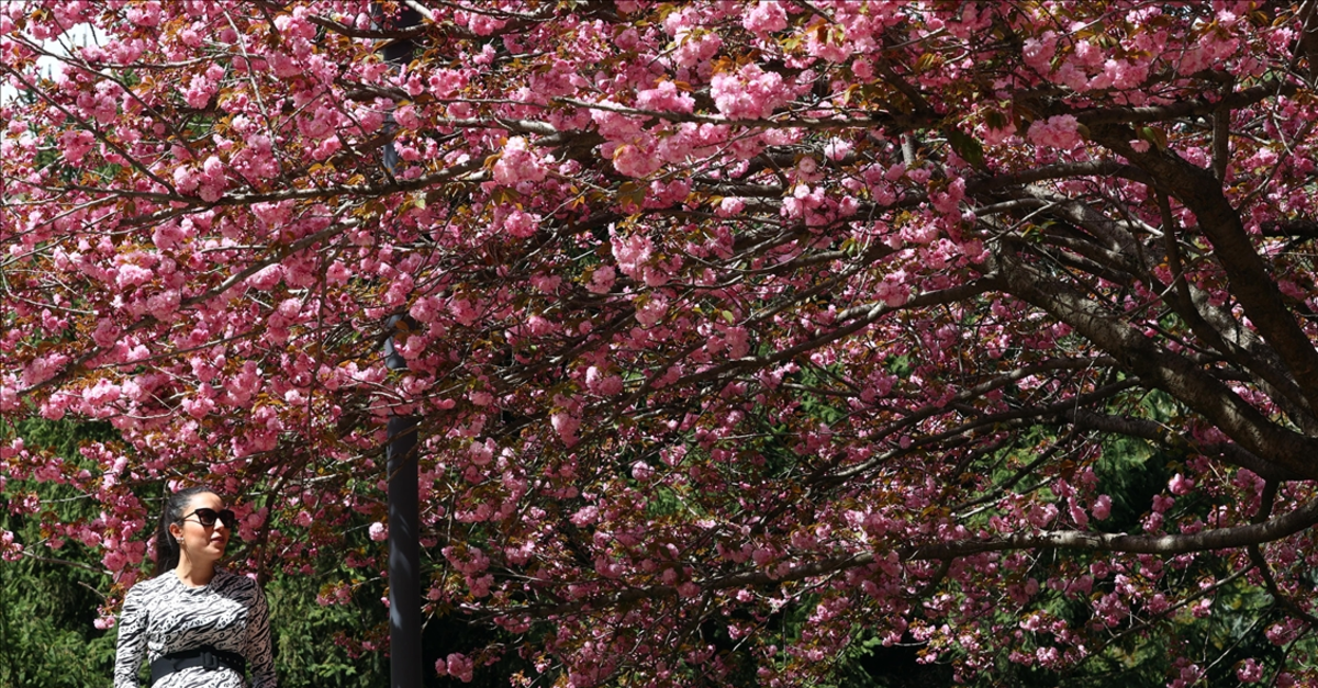 NEVRUZ BAYRAMI NE ZAMAN 2026? | Nevruz nedir, gelenekleri nelerdir? Nevruz Bayramı hangi gün?