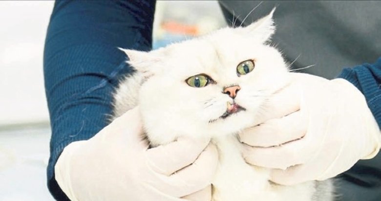 Veteriner Kontrol Enstitüleri’ne 21 yeni laboratuvar