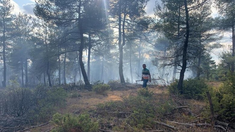 Kütahya’da ormana düşen yıldırım, 8 dekar alanı yaktı