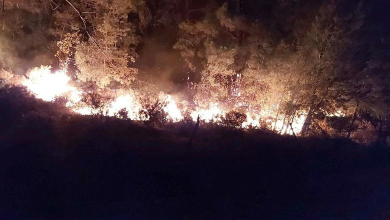 Marmaris’te orman yangını! Tüm ekipler teyakkuz halinde
