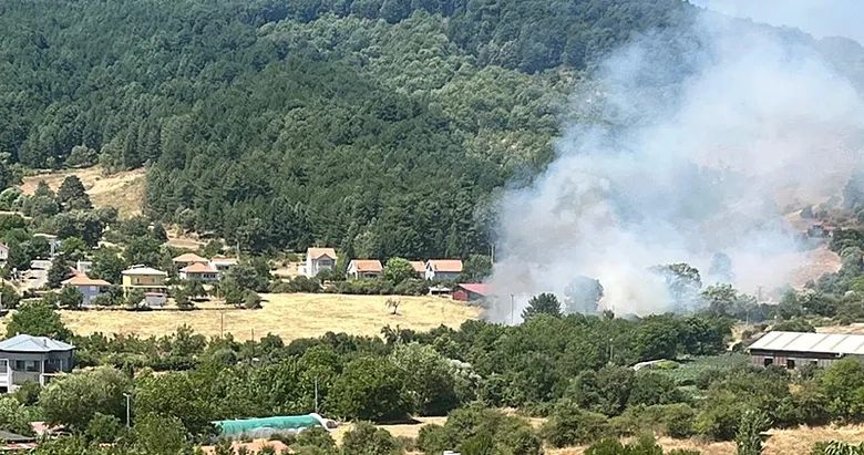 Aydın Kuyucak’ta zeytinlik alan alevlere teslim oldu: 3 hektarlık alan zarar gördü!
