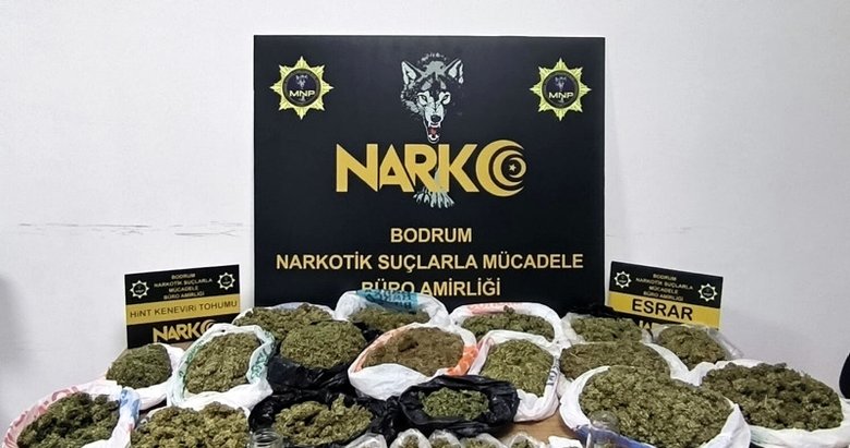 Ev değil esrar yuvası! Zehir taciri hapsi boyladı!