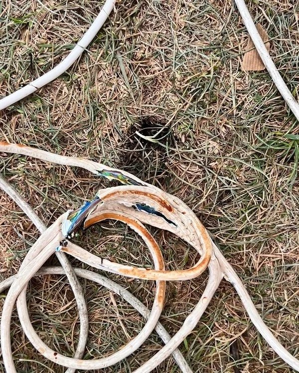 Beykoz Belediyesi Festivalinde ölüm! 18 yaşındaki genç yardım için geldiği festivalde elektrik akımına kapılarak hayatını kaybetti!