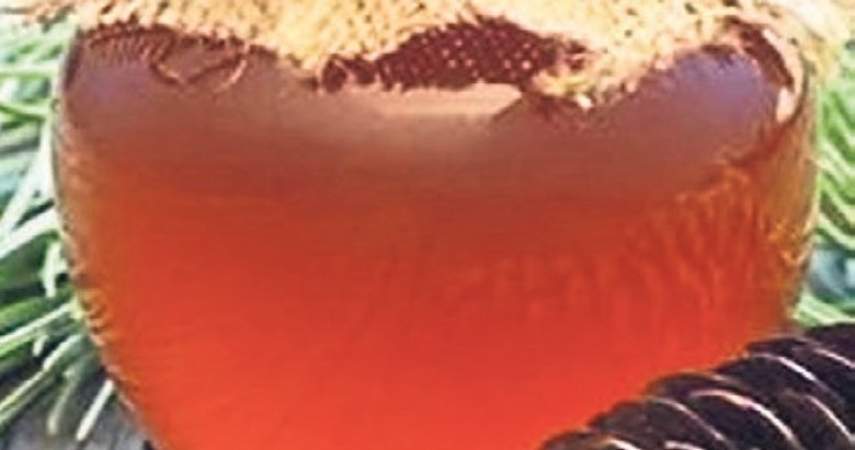 Türkiye çam balı üretiminde birinci