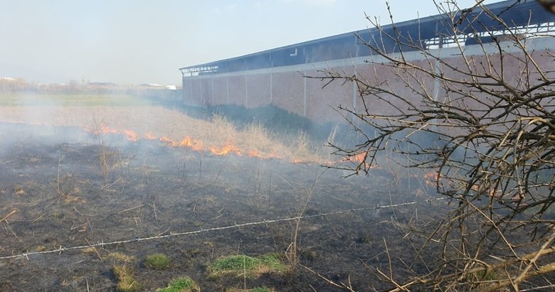 Kargılık alanda çıkan yangın 20 ton samanı kül etti