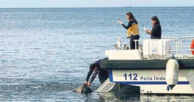 Erdek’te denizde erkek cesedi bulundu