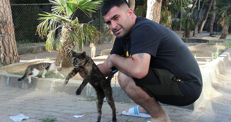 İzmir’de kediyi ezmemek için motosikletiyle kaza yaptı