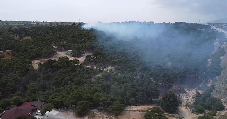 Piknik ateşi yangına yol açtı! 10 dönüm ormanlık alan zarar gördü