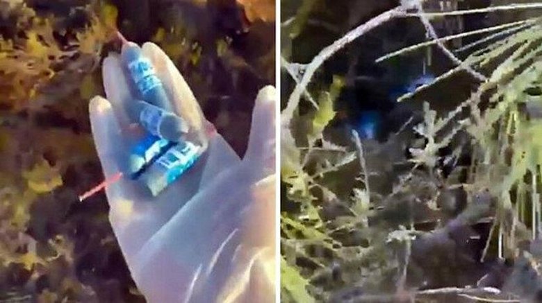 Datça’da torpilleri kimin koyduğu belli oldu! Sabotaj şüphesiyle soruşturma açılmıştı