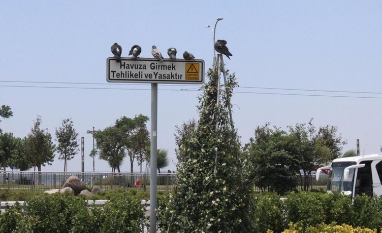 İzmir’de tehlikeli serinlik