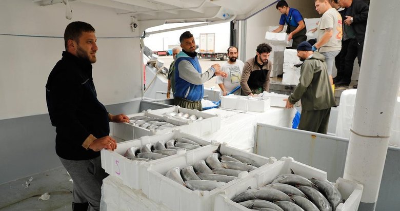 Bol ve iri palamut balıkçıların yüzünü güldürüyor