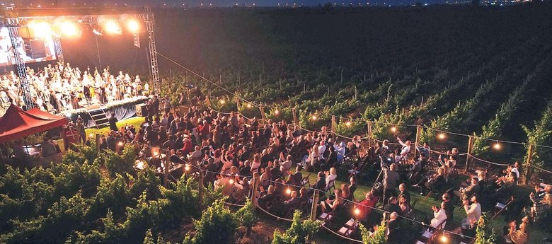 Üzüm bağlarının kalbinde tatil