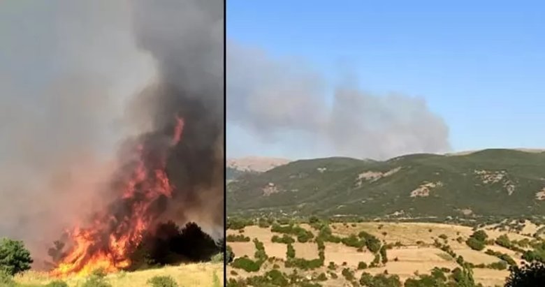 Afyonkarahisar’da orman yangını kontrol altına alındı