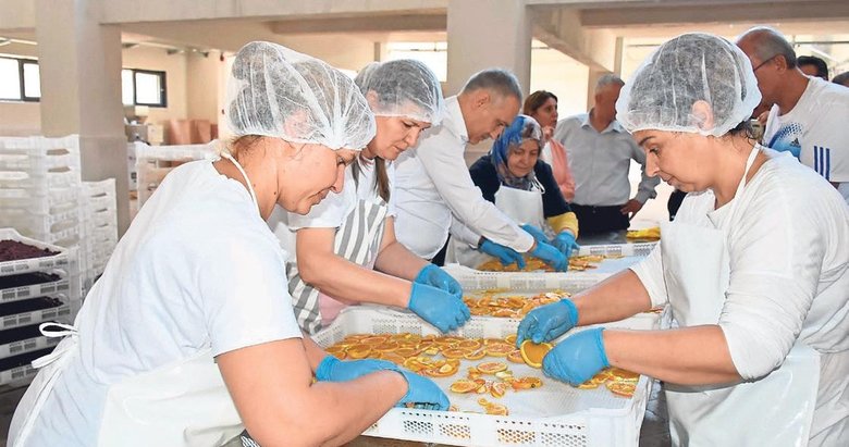 Devlet desteğiyle fabrikatör oldular