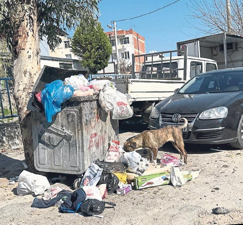 Geriye doğru dönüşüm!