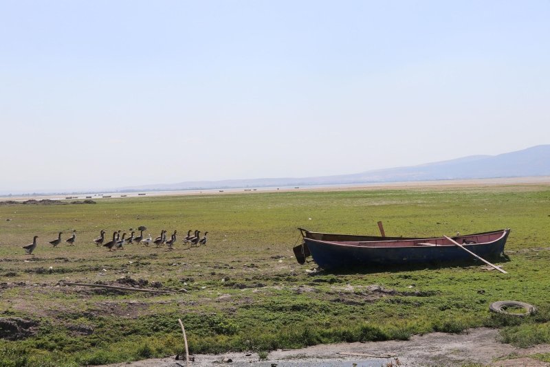 Nilüferleriyle ünlü Işıklı Gölü’nde tehlike çanları: Suyu 300 metre çekildi