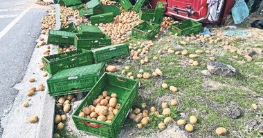 Devrilen TIR’dan tonlarca patates saçıldı
