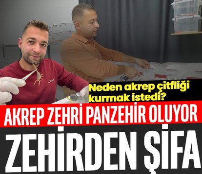 Zehirden şifa! Akrep zehri panzehir oluyor