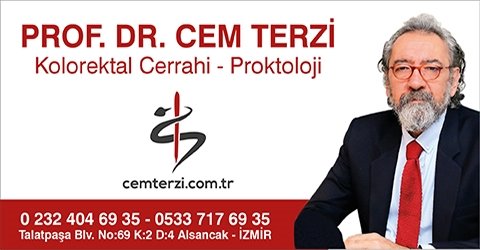Prof. Dr. Cem Terzi