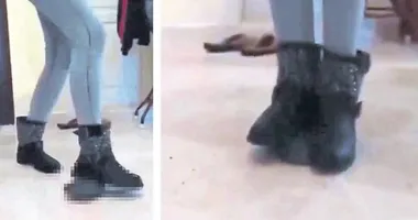 Kaplumbağa katili gözaltına alındı