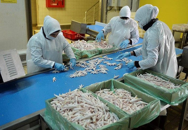 Çinliler buna bayılıyor: Tavuk ayağı Uşaklılara gelir kapısı oldu