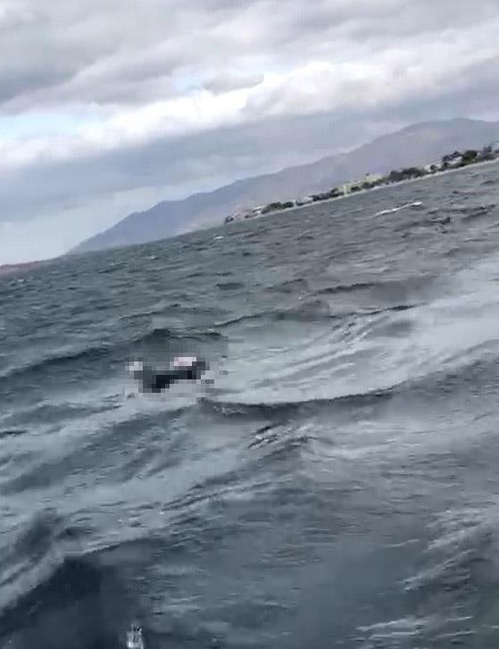 Denizde dehşete düşüren görüntü! Ceset böyle bulundu