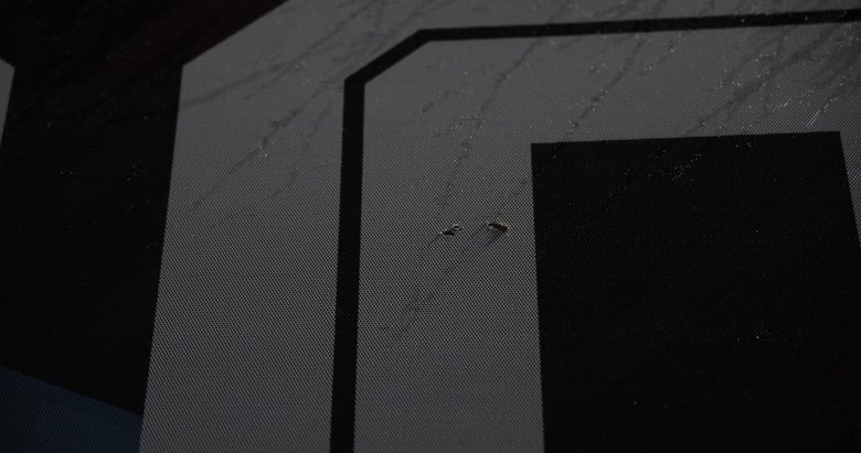 Trabzonspor’dan dikkat çeken çıkış: Can güvenliğimiz tehdit altındadır!