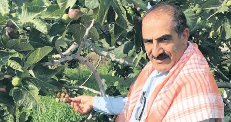 Taze incir ihracatında hedef 75 milyon dolar