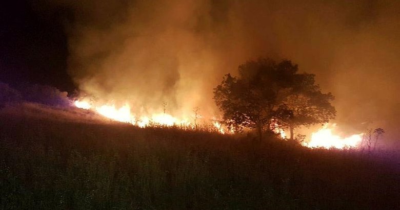 Bodrum’da otluk ve makilik alanda yangın