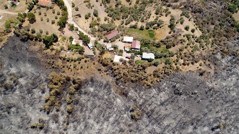 MuÄla'da yanan ormanlÄ±k alan havadan gÃ¶rÃ¼ntÃ¼lendi