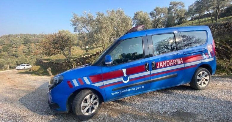 Aydın’da 160 litre zeytinyağı çalındı! Şahıs yakalandı