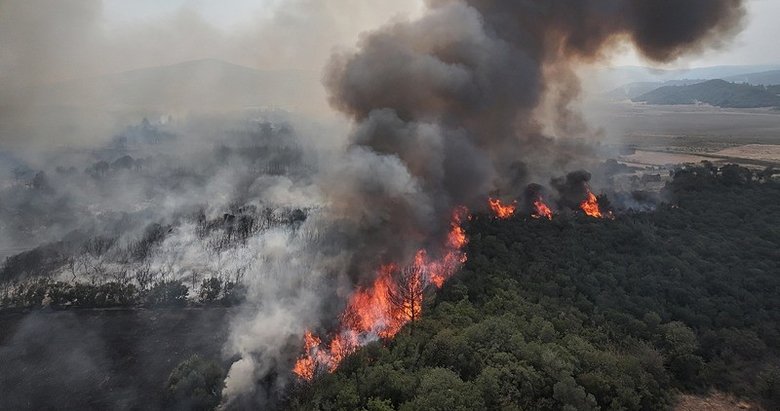 Bakan Yumaklı duyurdu: Gelibolu’daki orman yangını tamamen kontrol altına alındı