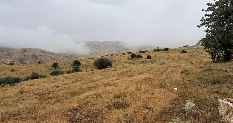 Ankara’da sağanak sonrası korkunç olay: Yıldırım düşmesi sonucu yaşlı adam hayatını kaybetti!