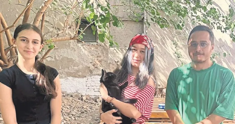 Sokak kedileri için destek projesi