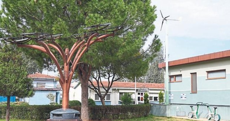 Ege Orman Vakfı’yla 15 milyon fidan yeşerdi