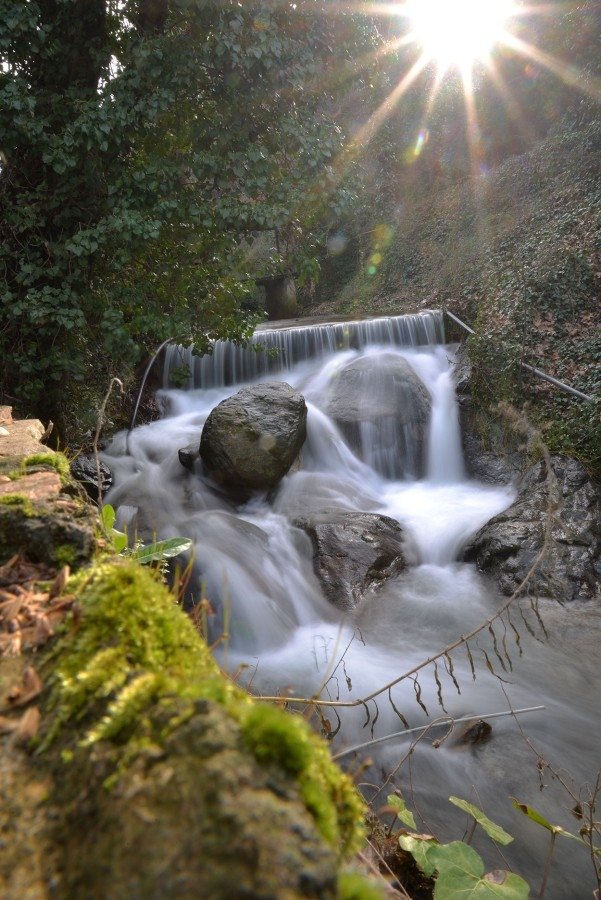 Mevsimlerden Bademli
