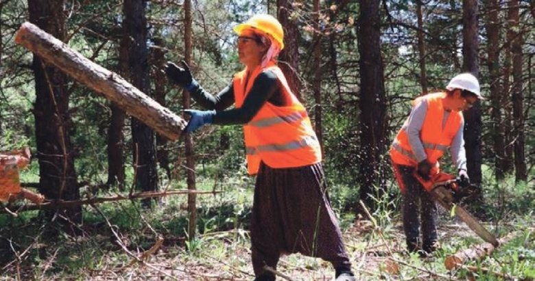 Orman Genel Müdürlüğü 5 bin işçi alacak