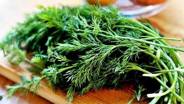 Dereotunun faydaları nelerdir? Dereotu hangi hastalıklara iyi gelir?