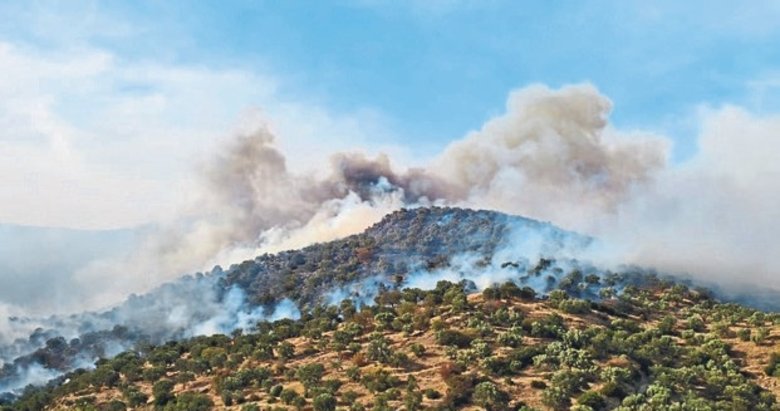 Bahçe ateşi ormanı yaktı