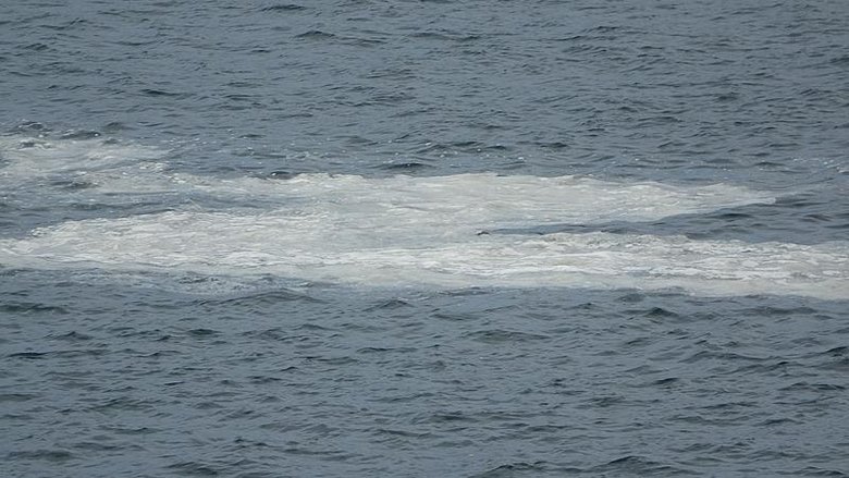 Çanakkale Boğazı’nda görüldü! Endişeli bekleyiş başladı