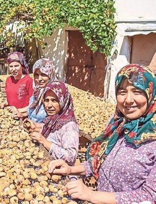 Bayındırlı incir üreticisinden festival talebi