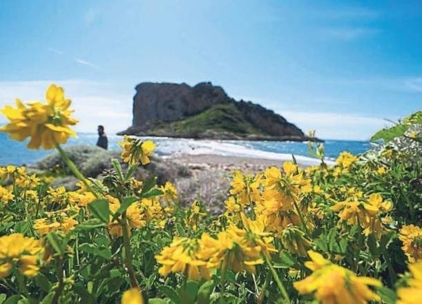 Karadan yürüyerek ulaşılabilen bir cennet! Çıfıt adası ziyaretçilerini büyülemeye devam ediyor