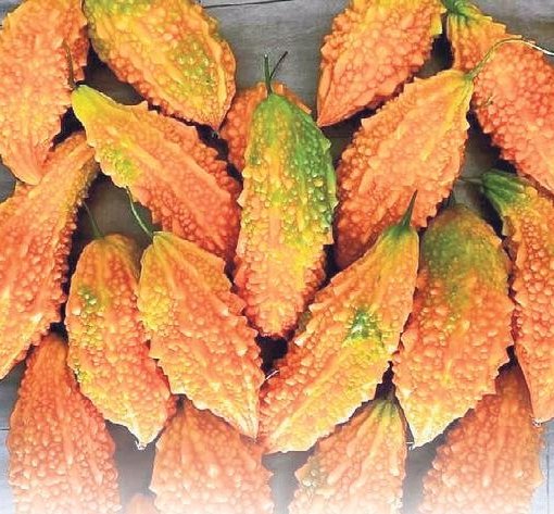 Elma sirkesi geniz akıntısını keser